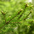 DSCN5863