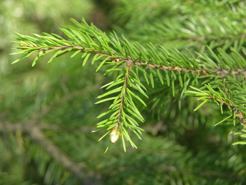 DSCN5865.JPG