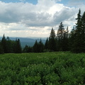 IMG 20240615 121847 827
