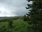 IMG 20240615 121859 358 (просмотров: 93865) IMG 20240615 121859 358
