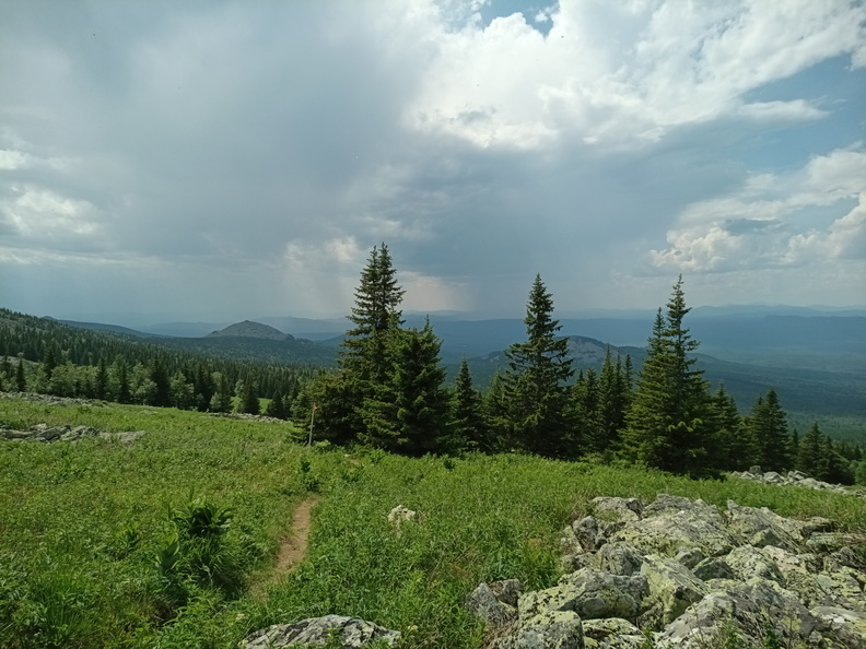 IMG_20240615_124004_795.jpg