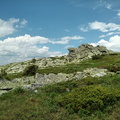 IMG 20240615 125503 487