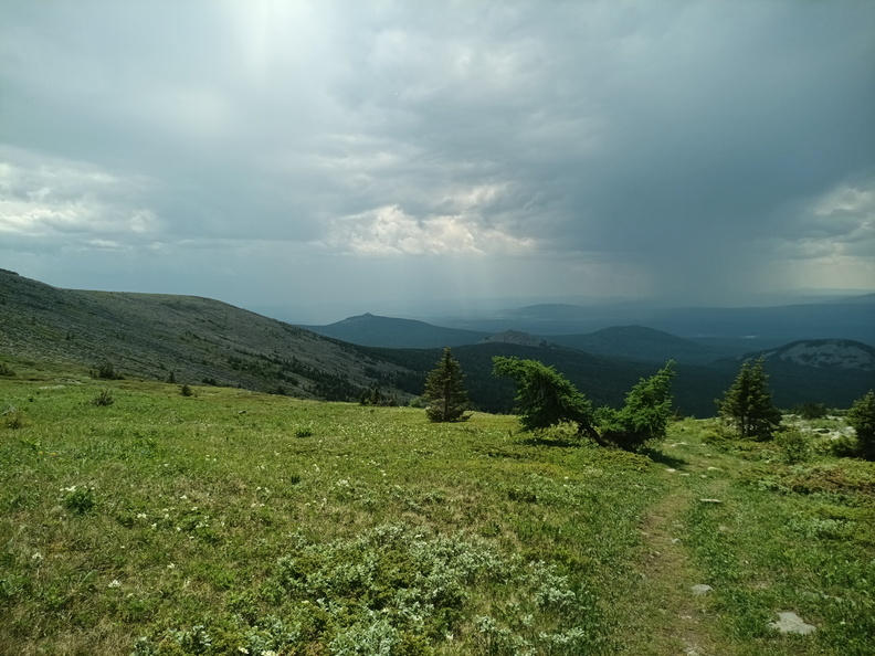 IMG_20240615_125513_505.jpg