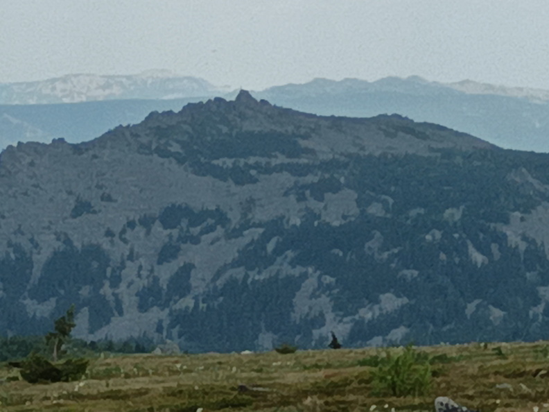 IMG_20240615_130226_148.jpg
