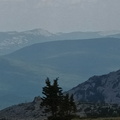 IMG 20240615 130235 441
