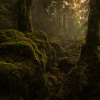 d87373bd-e1f2-4d06-9ea1-0013d86b097e