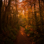 abe09c44-2468-4989-94ca-f888c13be28f